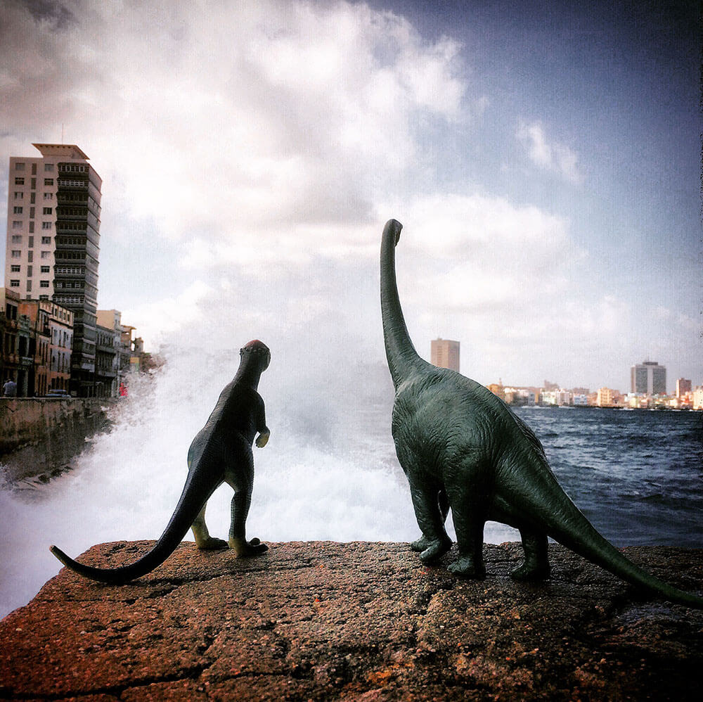 toy-dinosaurs-fy-4