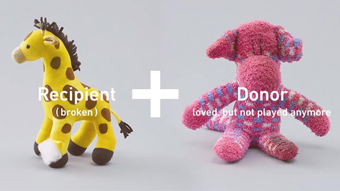toy-donors-organ-5