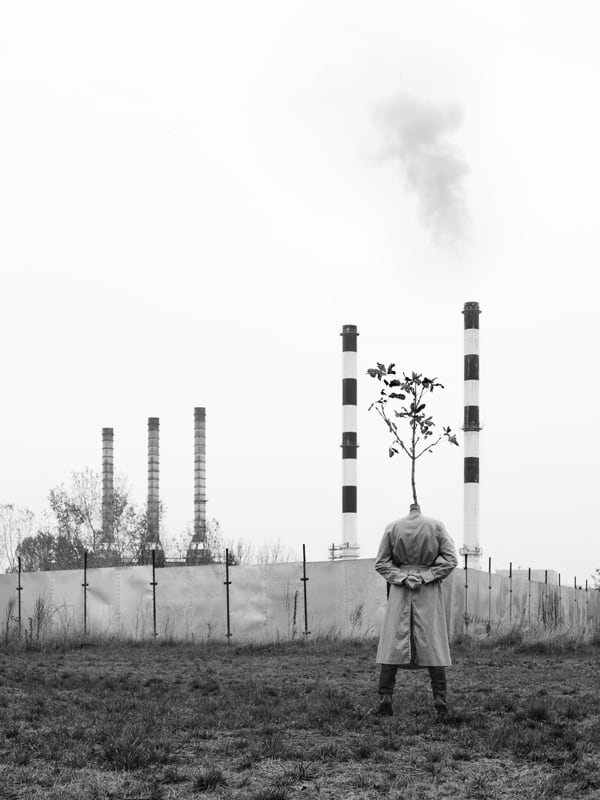The Tree people of Marko Prelic The Tree people of Marko Prelic -photography