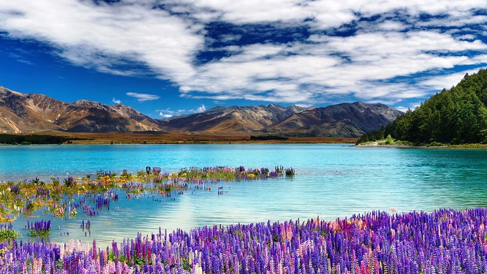 The Most Beautiful Photographs Of Lake Tekapo In New Zealand FREEYORK The Most Beautiful Photographs Of Lake Tekapo In New Zealand FREEYORK