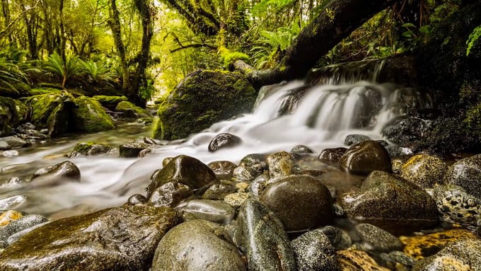 New Zealand by Shawn Reeder (Video) New Zealand by Shawn Reeder (Video) -Video, new zealand