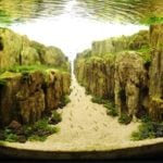 featured image placeholder 16:9