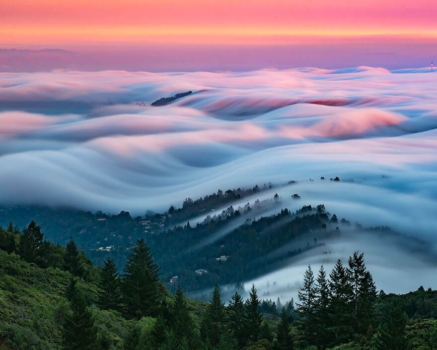 nicholas-steinberg-fog-waves-1