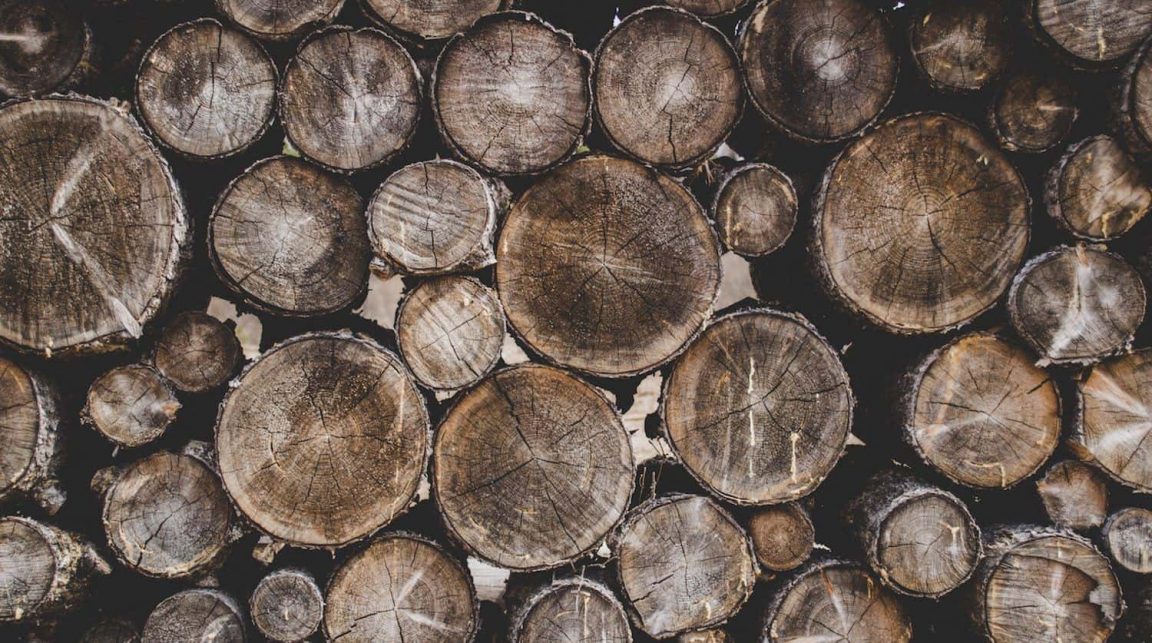 Wood Wood -