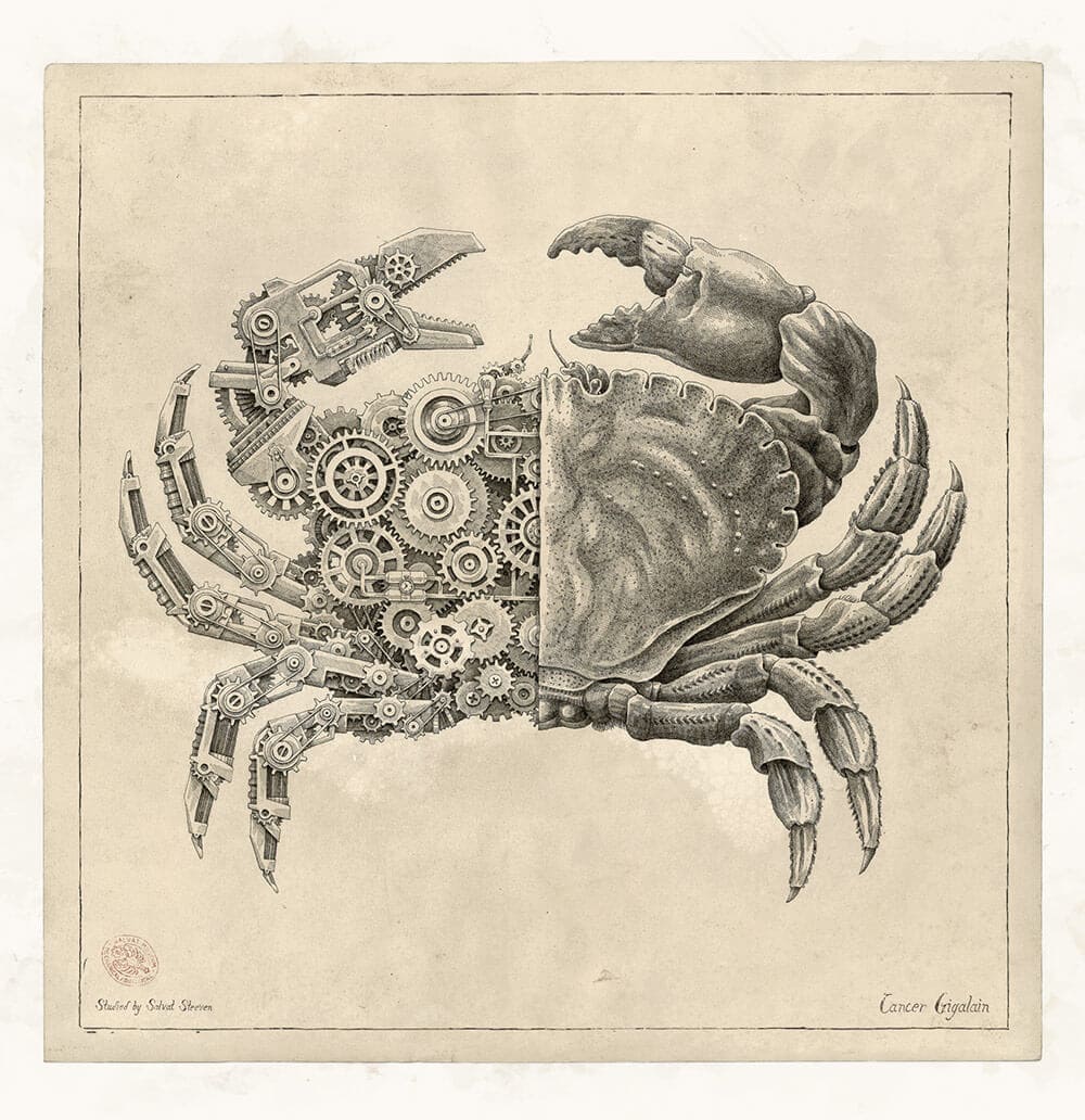 Mechanical Arthropodae with Clockwork Insides by Steeven 