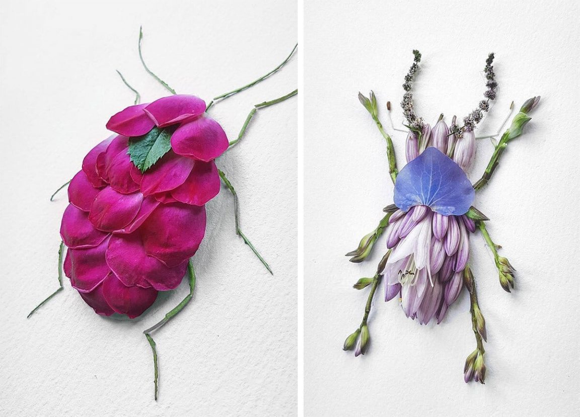 Raku Inoue's Insect Arrangements Made of Flowers Raku Inoue's Insect Arrangements Made of Flowers -gohome