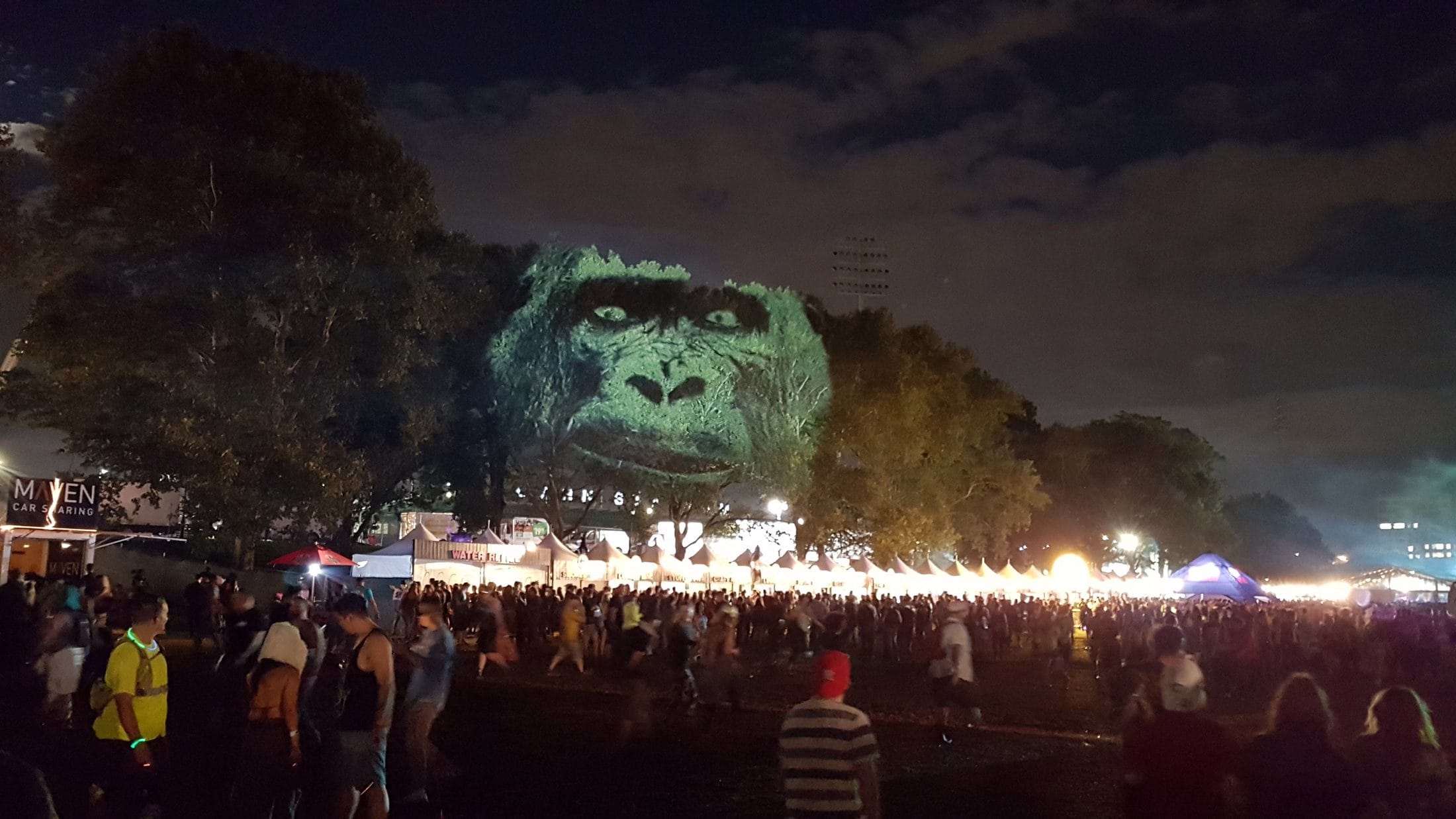 Video installation Animal Watching Electric Zoo, New York FREEYORK