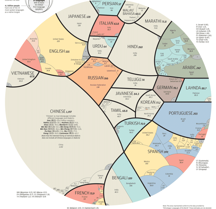 This Infographic Shows The Most Popular Languages Around The World   Most Common Languages 