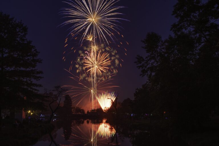 fireworks in the night sky