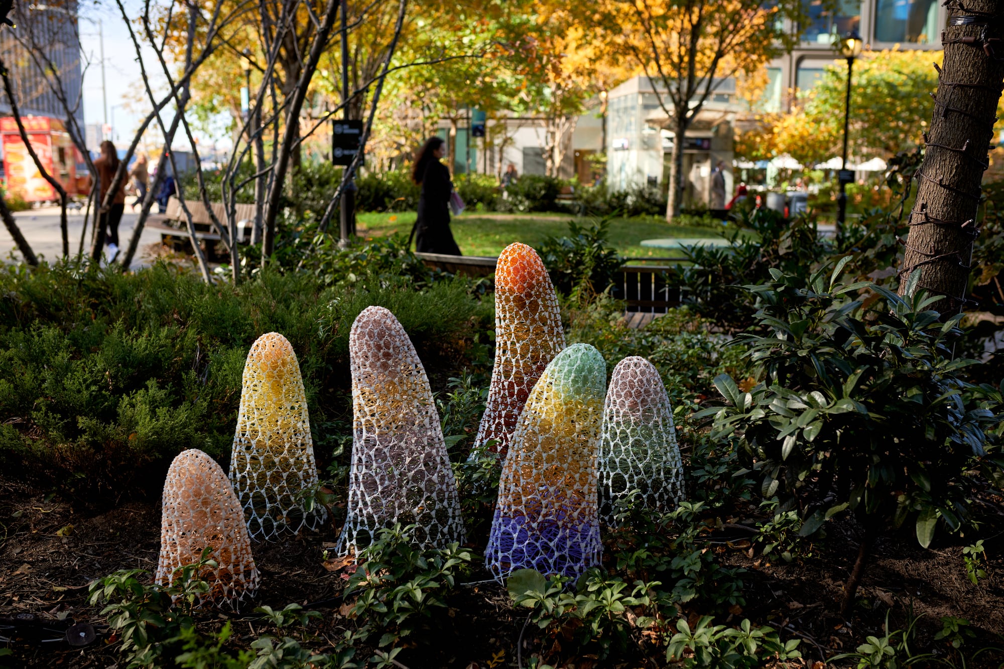 a close up of a flower garden