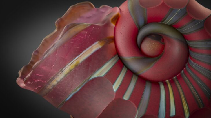 featured image placeholder 16:9